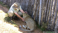 Cheetah 3