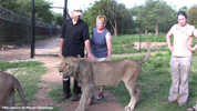 Moholoholo Lions 01