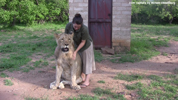 Moholoholo Lions 02