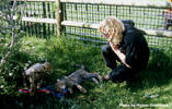 Tenikwa cheetah cub 03